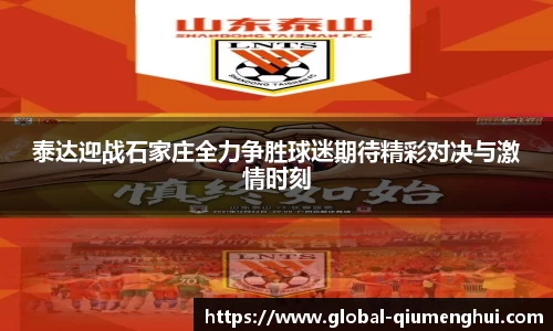 泰达迎战石家庄全力争胜球迷期待精彩对决与激情时刻